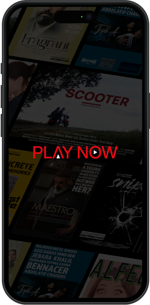 PlayNow Video Streaming Platform